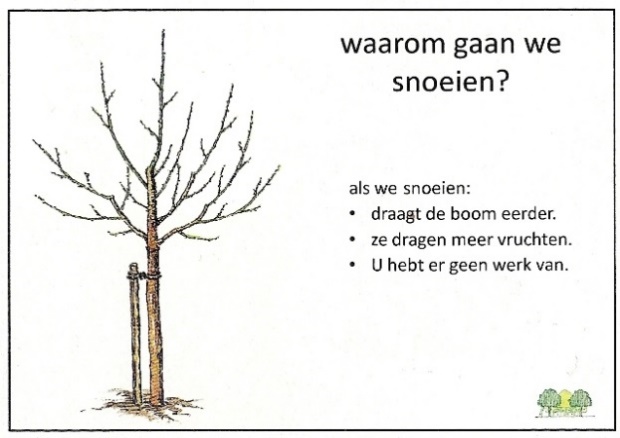 snoeien